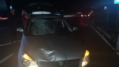 На Львівщині водій Skoda Fabia збив 14-річну дівчину