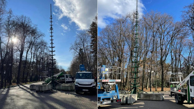 В Івано-Франківську почали встановлювати новорічну ялинку