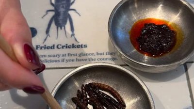 Кондитерський і м’ясний інвентар мили разом у підвалі: з’явилися дані перевірки ресторану «Китайський привіт» у Львові