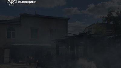 Полум’я охопило будівлю: у пожежі на Львівщині загинули свійські тварини