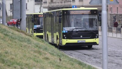 У Львові влітку на автобусних маршрутах скоротять кількість одиниць транспорту