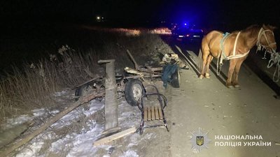На Львівщині легковик врізався у підводу