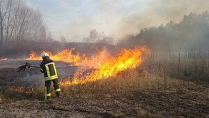 За добу пожежники ліквідували 23 пожежі сухої трави на Львівщині