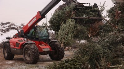 У Львові привезли вже 10 тонн хвої на міську станцію