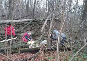 На Старосамбірщині на 66-річного чоловіка впало дерево