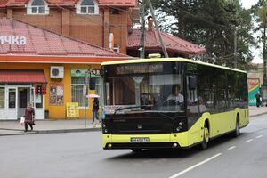 У мерії кажуть, що ЛОДА не погодила схему автобусних маршрутів до населених пунктів Львівської ОТГ (фото, відео)