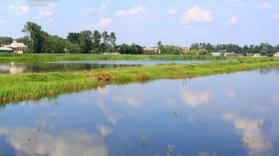 Майже 106 га землі з озером повертаються державі: орендар боргував понад пів мільйона