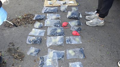 У Львові засудили киянина, який перевозив у багажнику наркотики на 3 мільйони гривень