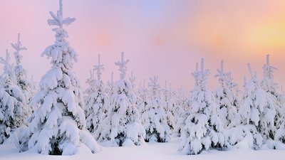 Якою буде погода у Львові та області завтра, 19 січня