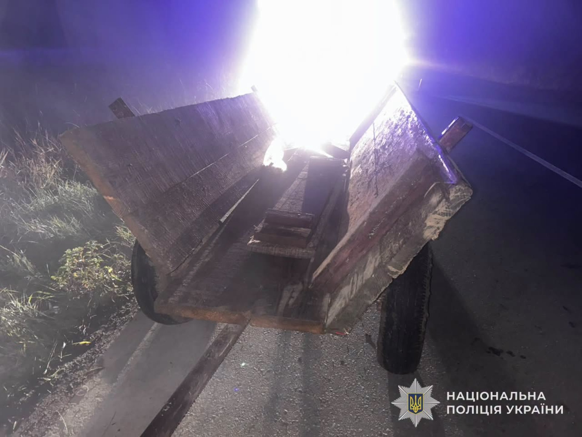 Пошкоджена підвода після зіткнення з автомобілем у Дрогобицькому районі. Фото: Поліція Львівської області.