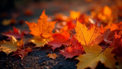 Якою буде погода у Львові та області завтра, 19 жовтня