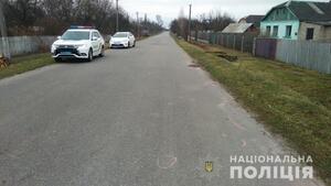 На Житомирщині поліцейський насмерть збив чоловіка