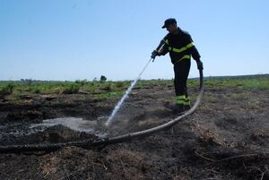 На Жовківщині 186 рятувальників намагається загасити пожежу торфу (ФОТО)