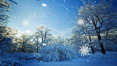 Якою буде погода у Львові та області завтра, 19 лютого