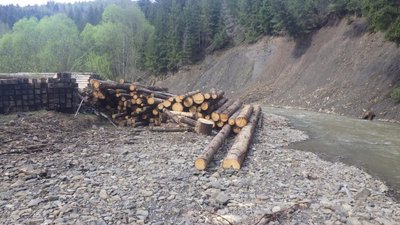 На Львівщині судитимуть підприємця за масовий підруб лісу та захоплення землі