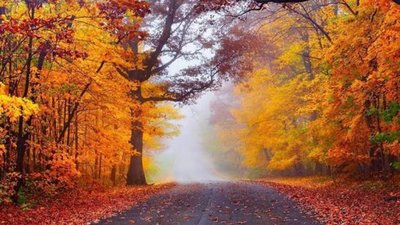 Якою буде погода у Львові та області завтра, 16 жовтня