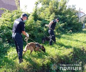 Зниклу безвісти дитину з Львівщини, після кількох днів пошуків знайшли у Києві (ФОТО)