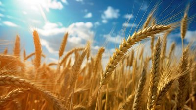 Якою буде погода у Львові та області завтра, 24 серпня