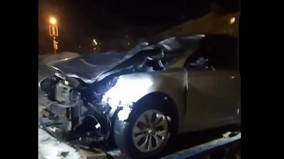 На Львівщині у ДТП загинув лось (ФОТО, ВІДЕО)