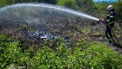 На Львівщині чоловік потрапив до лікарні через пожежу сухої трави
