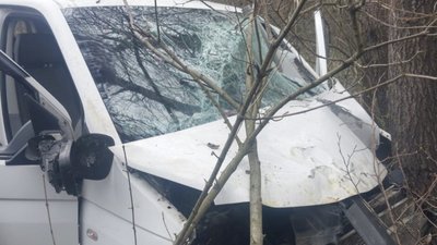 На Прикарпатті водій загинув після наїзду авто на козулю