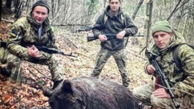 Нацпарк на Закарпатті звинувачує прикордонників у вбивстві ведмедиці