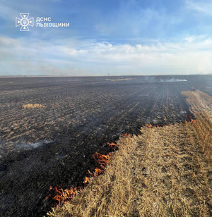 Надзвичайники Львівщини ліквідували пожежу в полі, яку спровокували горе-господарі (ФОТО)