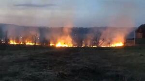 Масштабна пожежа вирує на Закарпатті (фото, відео)