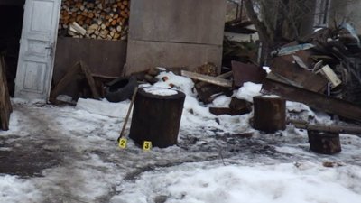 На Львівщині чоловік до смерті забив кота