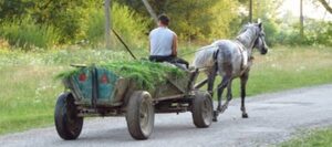 На Львівщині у ДТП з автомобілем "Мерседес" травмовано керманича підводи