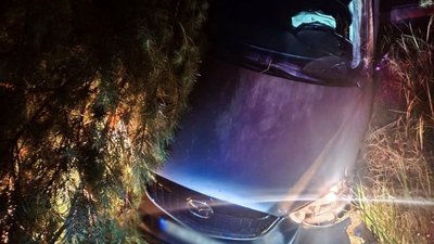 У Рівненській області пʼяний водій скоїв ДТП