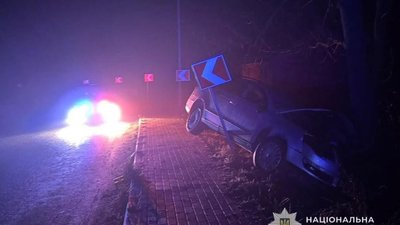 На Львівщині нетверезий 19-річний водій врізався у дерево