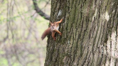В Укргідрометцентрі розповіли, коли в Україні знову похолодає