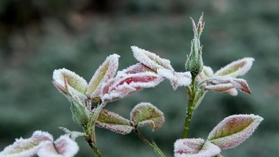 Яким буде день у Львові та області завтра, 14 травня