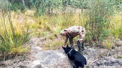 На Рівненщині поліція розшукує 71-річного чоловіка, який зник у лісі