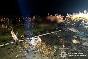 Фото: Поліція Рівненської області. Уламки підводи та речі, розкидані на дорозі після аварії.