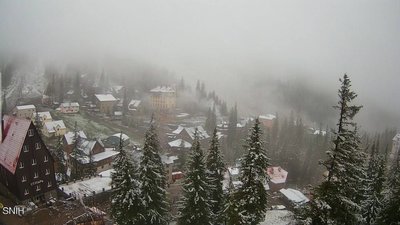 Весняна зима: 8 травня Карпати засипало снігом (ФОТО)