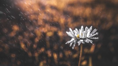 Якою буде погода у Львові та області завтра, 6 травня