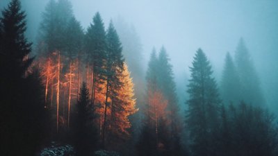 Якою буде погода у Львові та області завтра, 18 жовтня