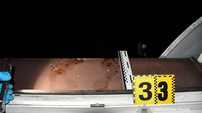 На Львівщині онук вбив дідуся та бабусю і намагався скоїти самогубство