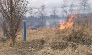 Неподалік "Арени Львів" невідомі підпалили траву (відео)