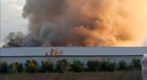 На Львівщині вирує пожежа (ВІДЕО)