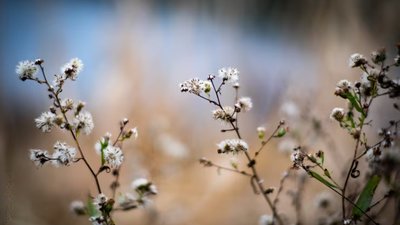 Якою буде погода у Львові та області завтра, 8 березня