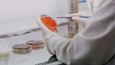 На Львівщині поліція розслідує отруєння дітей через спалах кишкової інфекції