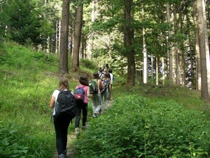 На Львівщині троє жінок ледь не заблукали в лісі