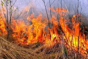 На Львівщині за добу двічі горіла суха трава