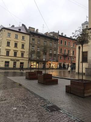 У зв’язку із святкуванням Різдва: обмежене паркування в центральній частині Львова: