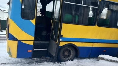 На Львівщині маршрутка з'їхала з дороги (ФОТО, ВІДЕО)