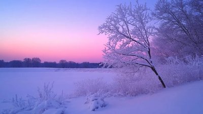 В Укргідрометцентрі уточнили, яка погода чекає українців в перші дні лютого