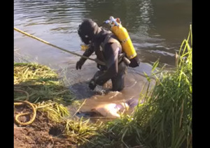 У Львівській області витягнули з води тіла двох потопельників